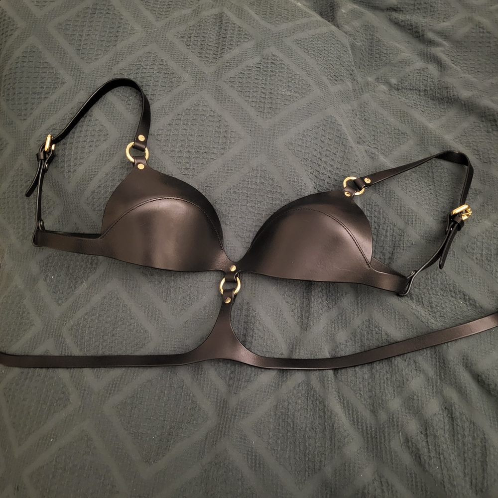 Anoeses Leather Icon Bra in Black+Gold